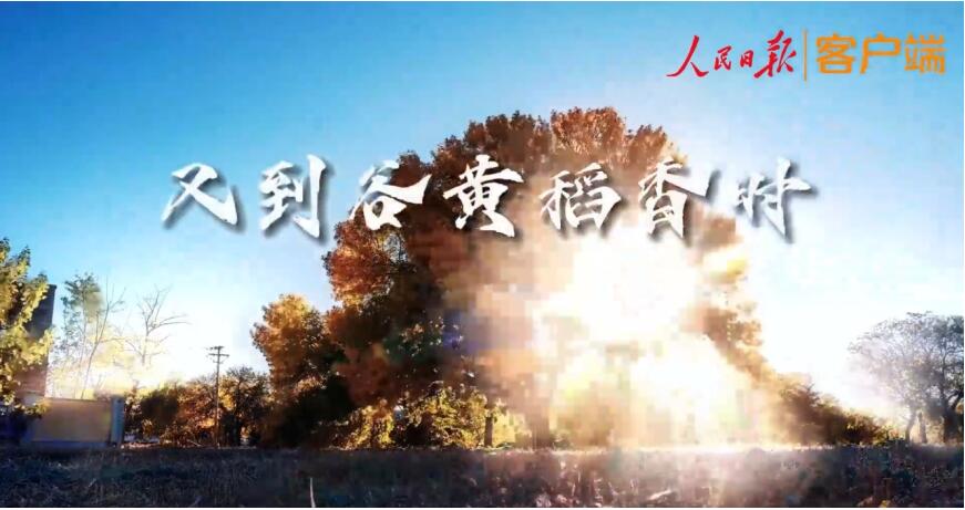 “中国农民丰收节”：“保险 ”助力乡村振兴