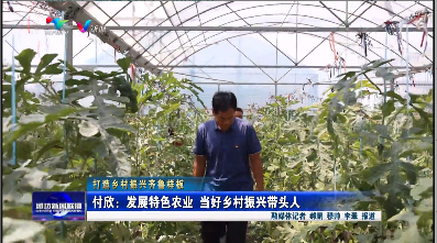 付欣：发展特色农业 当好乡村振兴带头人