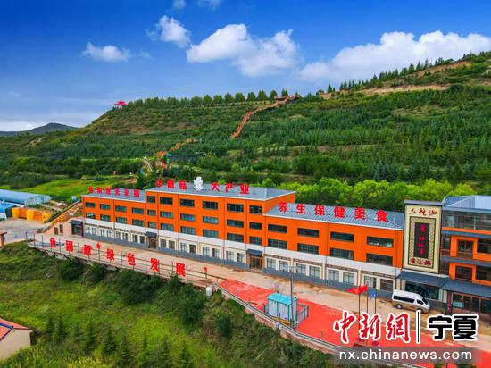 固原市隆德县农文旅融合跑出乡村振兴“加速度”