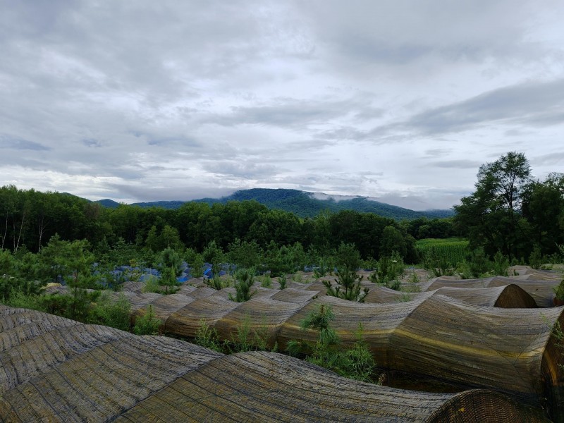 阳光财险：守护延边产业脉 温暖乡村振兴路