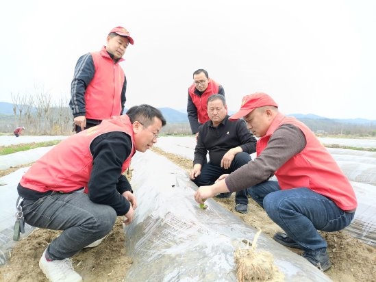 红色力量赋能绿色产业，“田间课堂”助力乡村振兴