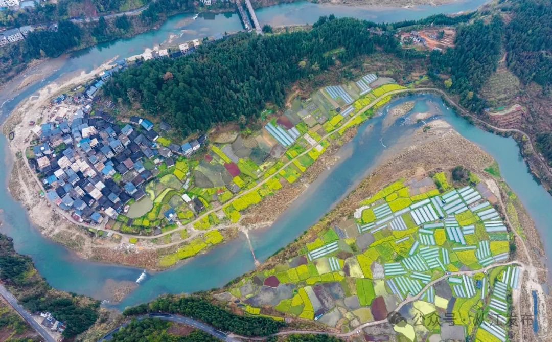 贵州从江：“大棚经济”助力乡村振兴