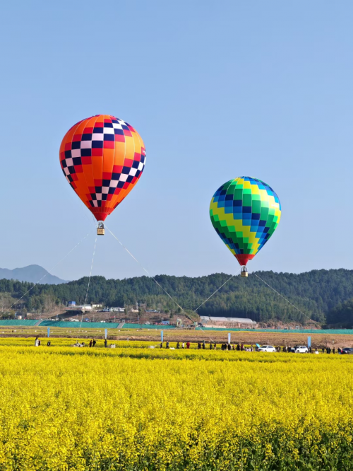 福建浦城：农旅融合激发乡村消费活力 助力乡村振兴