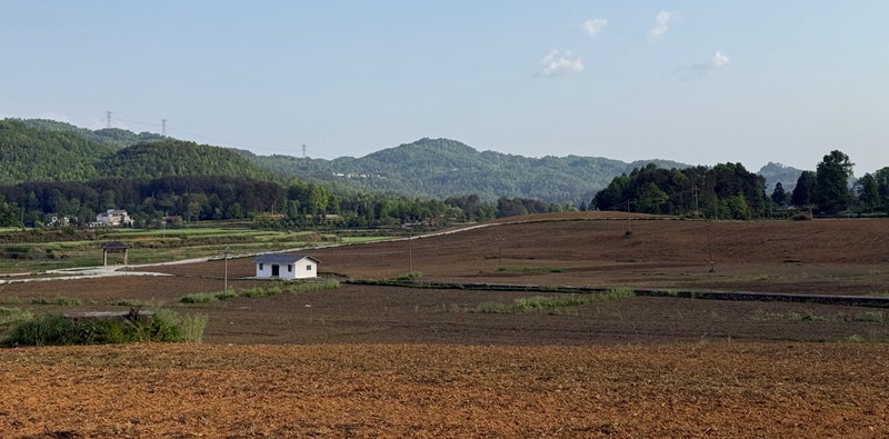德江县合兴镇合朋坝区高粱种植基地。