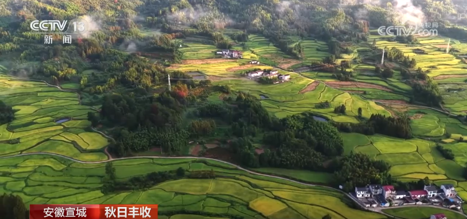 特色产业绘就乡村振兴新图景 希望的田野上一派秋日好“丰”景