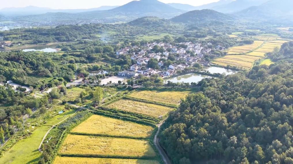 各地多维度发力 多元探索绘就乡村振兴新画卷